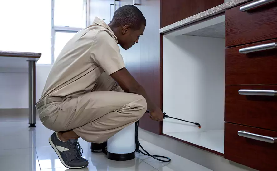 Top-Notch Pest Control in Hawthorne