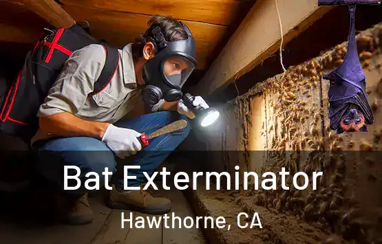  Bat Exterminator Hawthorne, CA