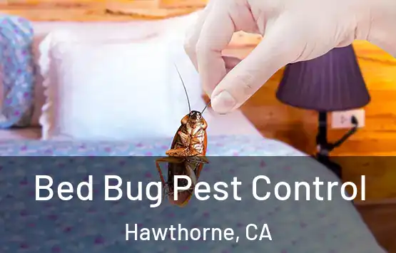  Bed Bug Pest Control Hawthorne, CA