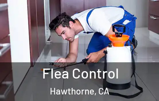  Flea Control Hawthorne, CA