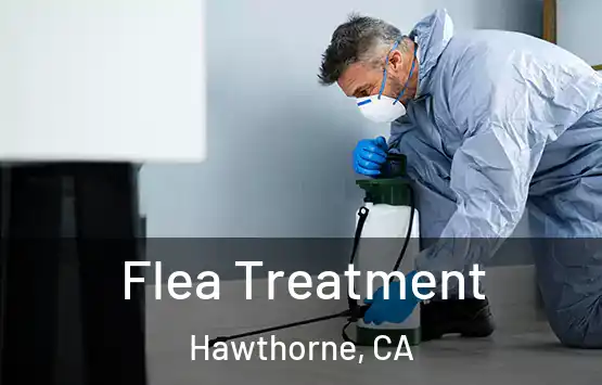  Flea Treatment Hawthorne, CA