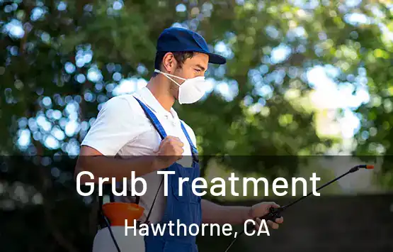 Grub Treatment Hawthorne, CA