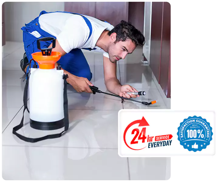 Year-Round Pest Prevention Plans in Hawthorne