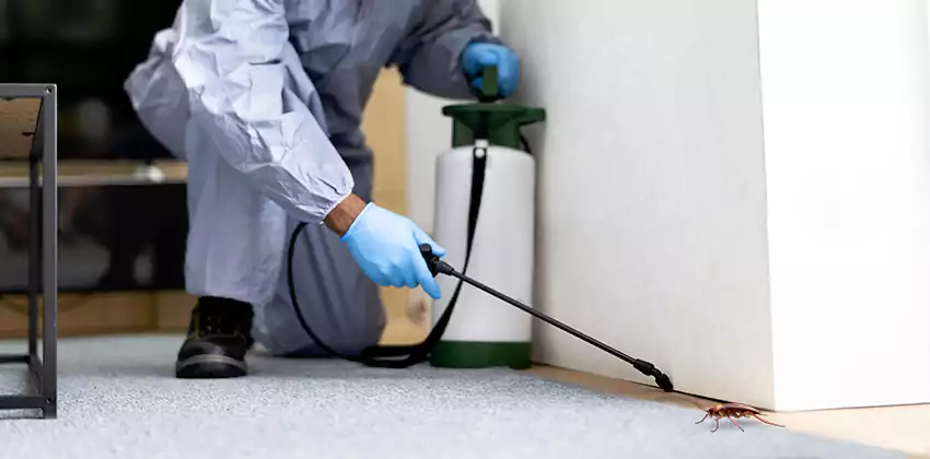 Commercial Pest Control for Offices in Hawthorne, CA