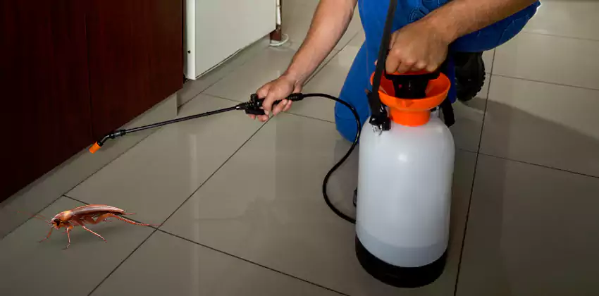 Exclusion and Sanitation Consultation in Hawthorne, CA