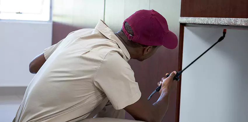 Children and pets extermination of termites Hawthorne, CA