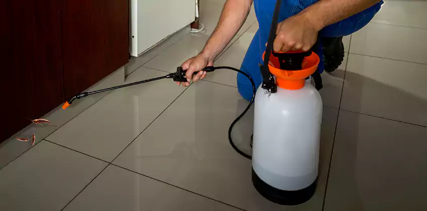 cockroach-treatment in Hawthorne, CA