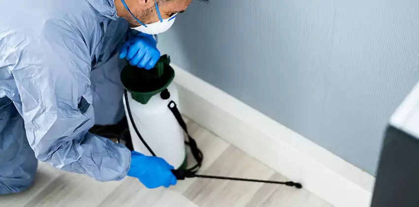 pest-exterminator in Hawthorne, CA