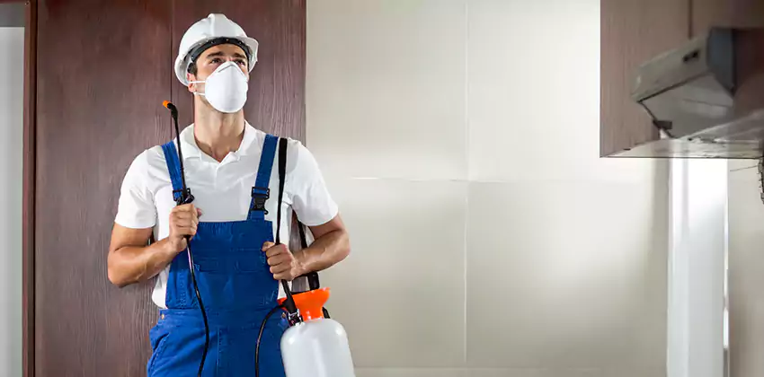 pest-inspection in Hawthorne, CA