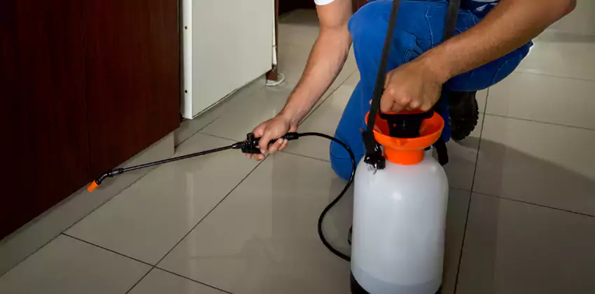 Pest Exterminator Company in Hawthorne, CA