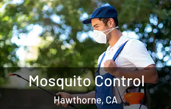  Mosquito Control Hawthorne, CA