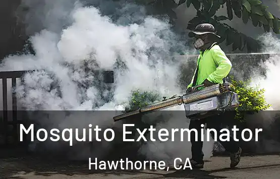  Mosquito Exterminator Hawthorne, CA