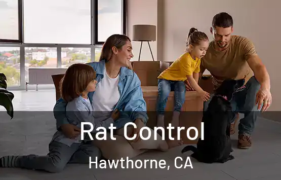  Rat Control Hawthorne, CA