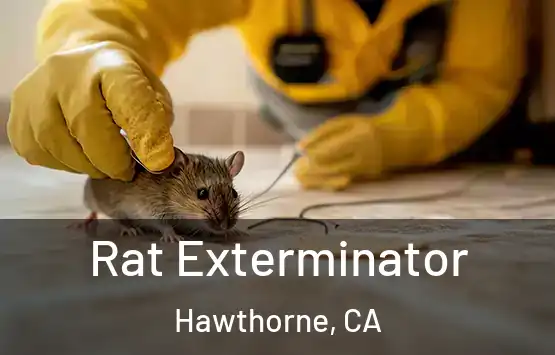  Rat Exterminator Hawthorne, CA