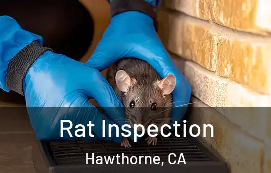  Rat Inspection Hawthorne, CA