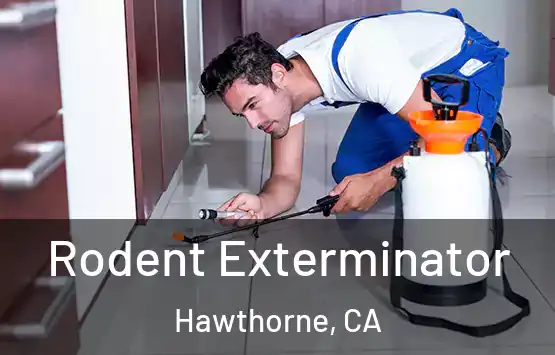  Rodent Exterminator Hawthorne, CA