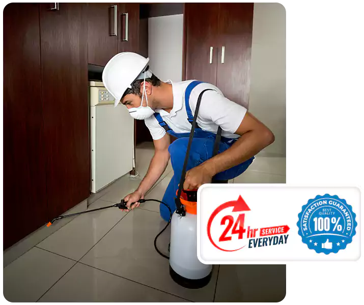 About Termite Treatment Hawthorne