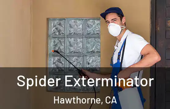 Spider Exterminator Hawthorne, CA
