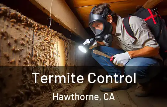  Termite Control Hawthorne, CA