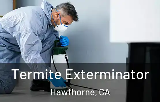  Termite Exterminator Hawthorne, CA