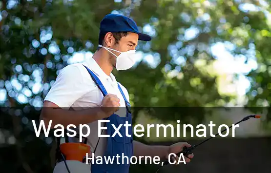  Wasp Exterminator Hawthorne, CA