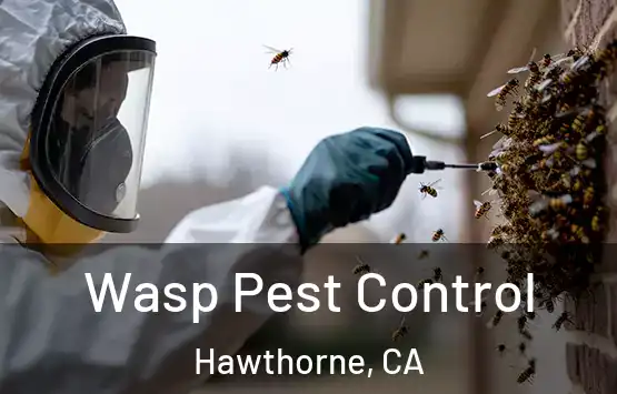  Wasp Pest Control Hawthorne, CA