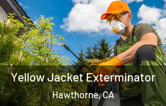  Yellow Jacket Exterminator Hawthorne, CA